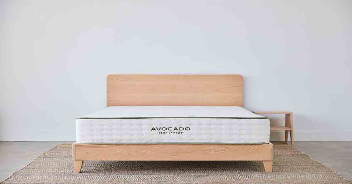 avocado city bed frame